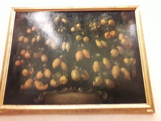 Musée de la nature morte