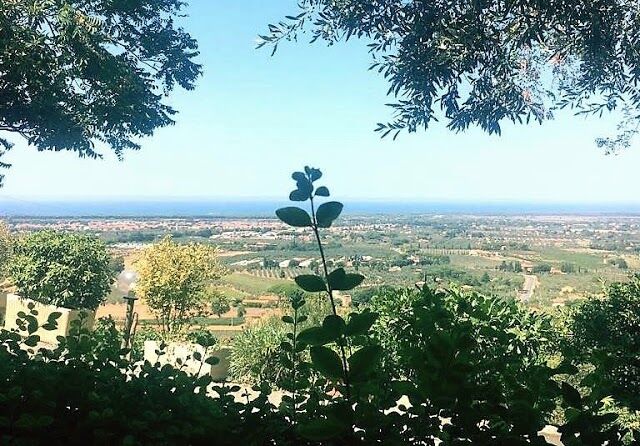Ristorante Il Vecchio Frantoio