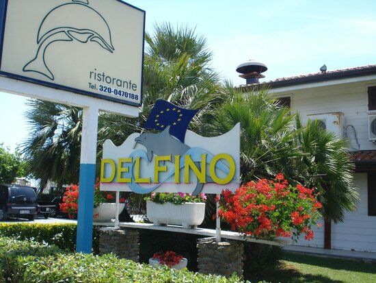 Delfino