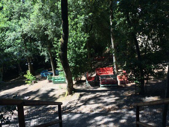 Il Boschetto Di Chianni