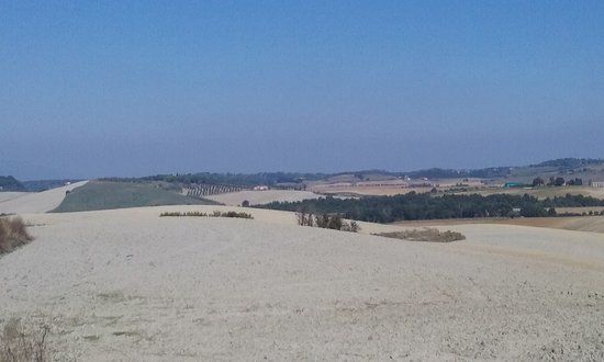 Anello delle colline Lorenzana-Orciano Pisano