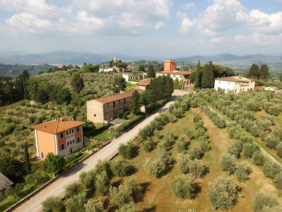 Olive oil tasting and fresh pasta Class