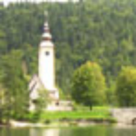 Ristorante Alle Vigne Dalla Renza