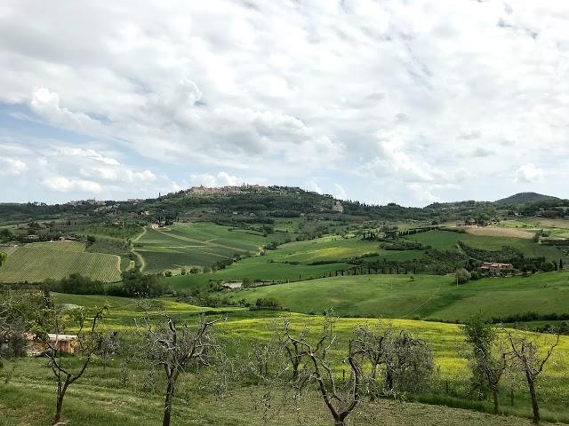 Cugusi Silvana E C. S.N.C