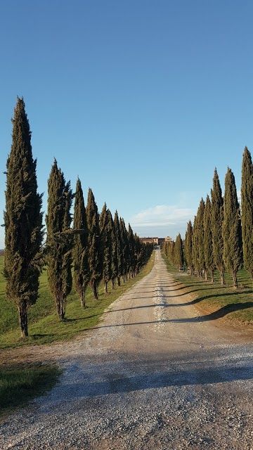 Crete senesi Asciano