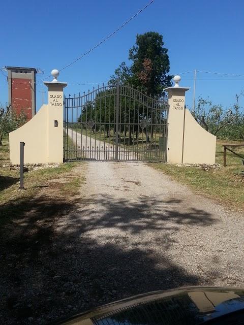 Tenuta Guado al Tasso