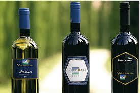 Exploitation viticole Tenuta Valdipiatta