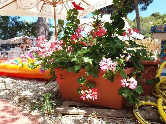 Ristorante Bagni La Padulella