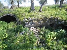 Colonie romaine de Cosa