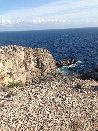 La Tanuta Isola di Giannutri