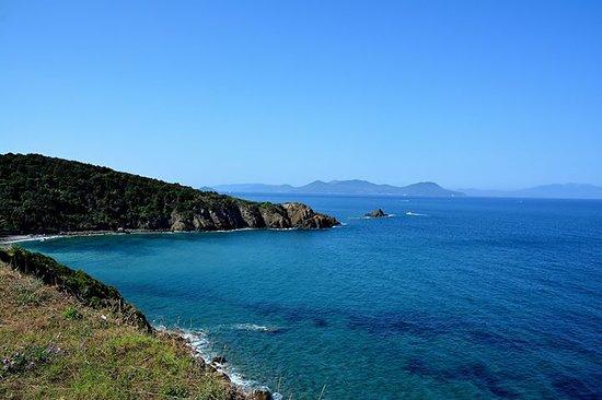 Gattarossa Art Kafè