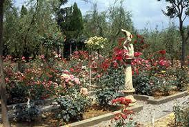 Roseraie botanique Carla Fineschi