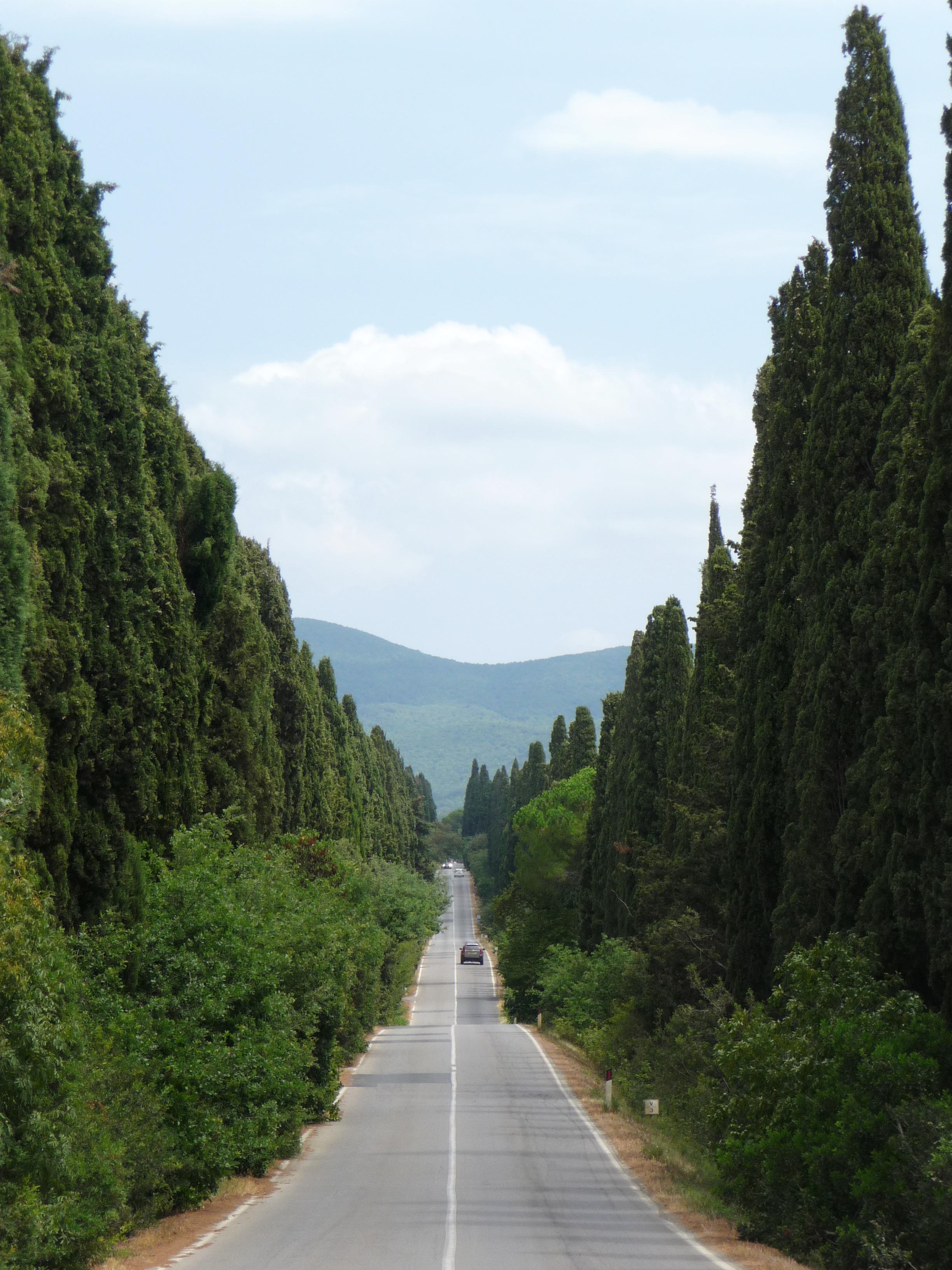Avenue historique Viale dei Cipressi