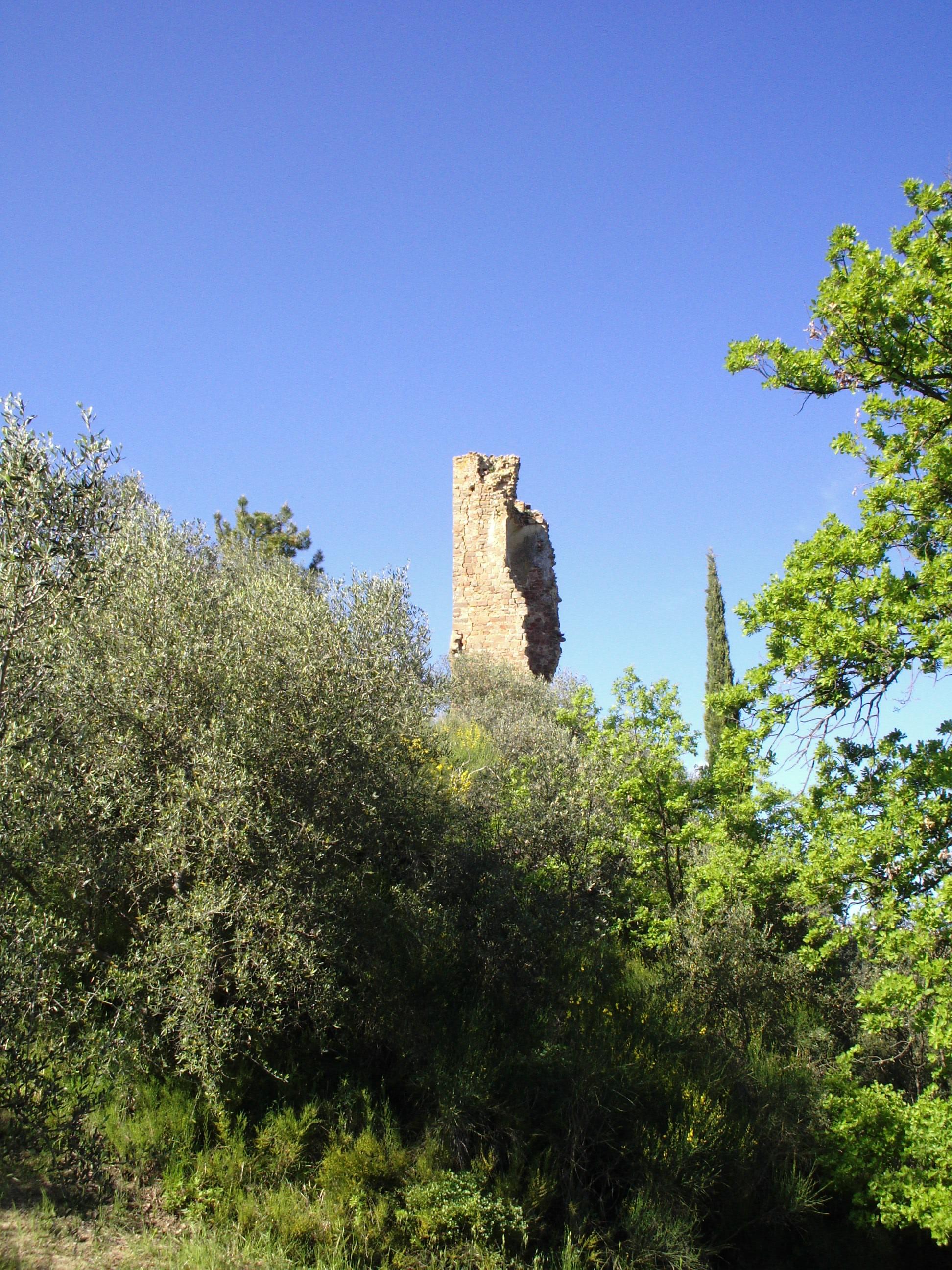 Pogni