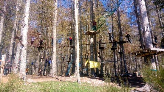 Indiana Park Amiata