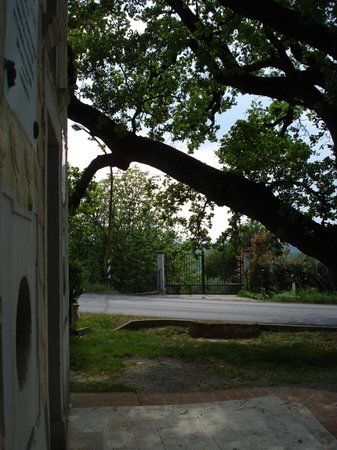 Quercia di Santa Margherita da Cortona