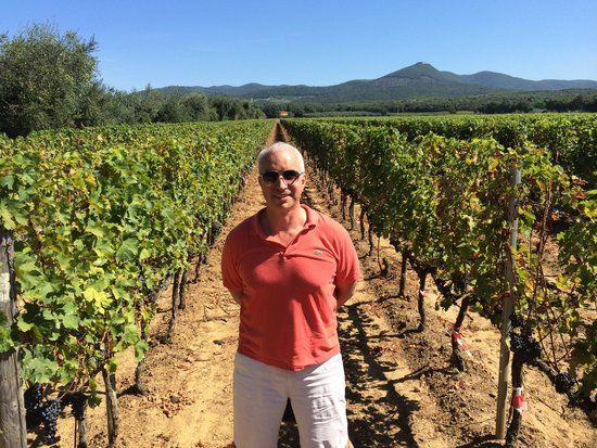 Exploitation oléicole et viticole Tenuta di Vaira