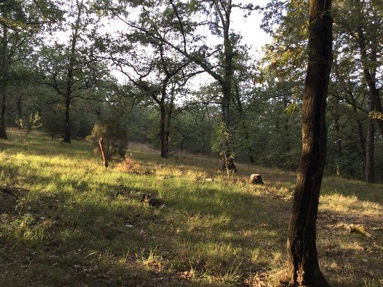 Parco di Poggio Valicaia