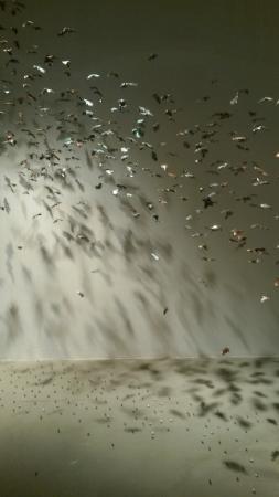 Palazzo Fabroni Arti Visive Contemporanee