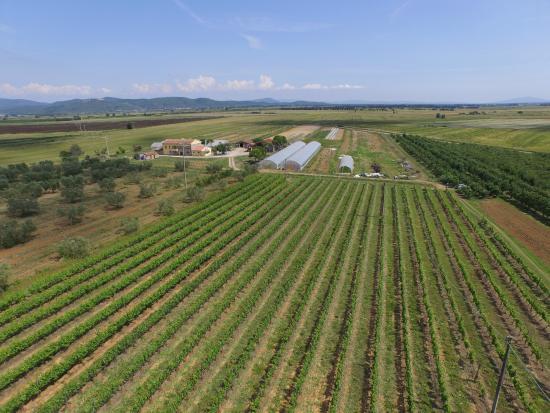 Azienda Agricola La Magia