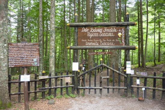 Orto Botanico Forestale