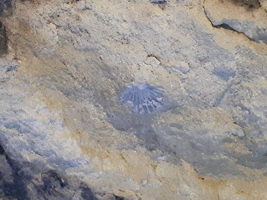 Catacombe di Pianosa