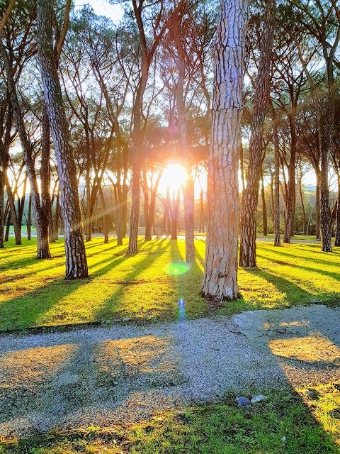 Parc des Thermes