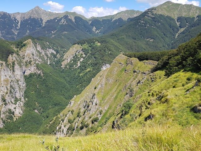 Riserva Statale Orrido di Botri