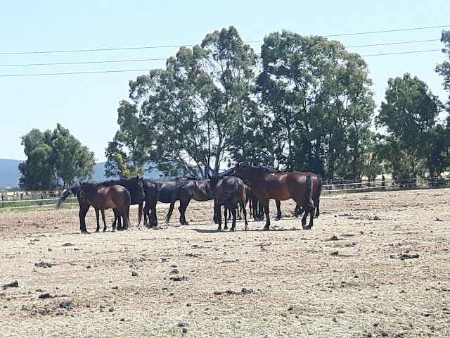 Maremma Regional Park