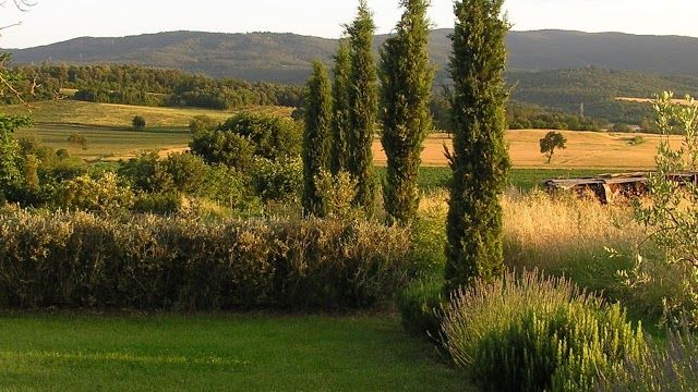 Alla Pieve Ristorante