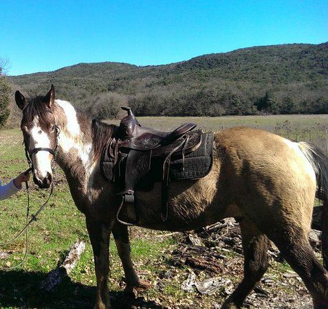 Equiturismo Podere Palazzone