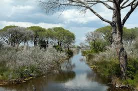 Parc régional de la Maremme