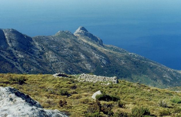 Mauerrest San Frediano