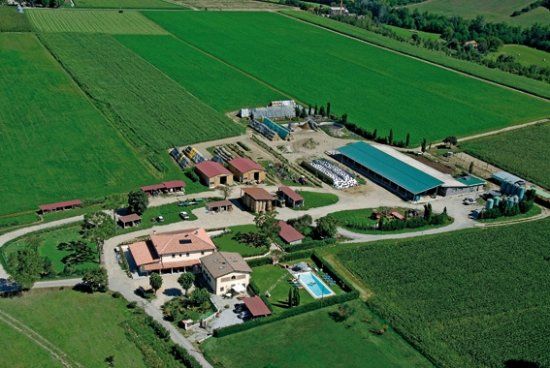 Agriturismo Palazzo Vecchio