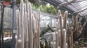 Jardin botanique Giardino Sotto Vico