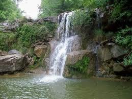 Riserva naturale di Monterufoli-Caselli