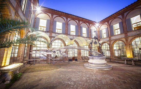 Musée d'histoire naturelle Accademia dei Fisiocritici Onlus