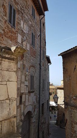 Mostra Museo Permanente Carlo Guarnieri