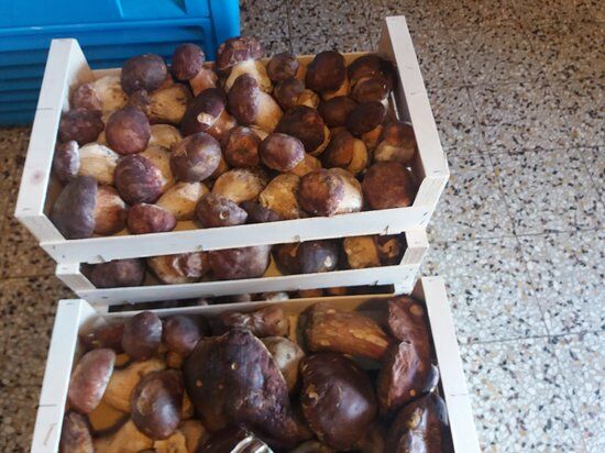 Trattoria Zini e Ferrari